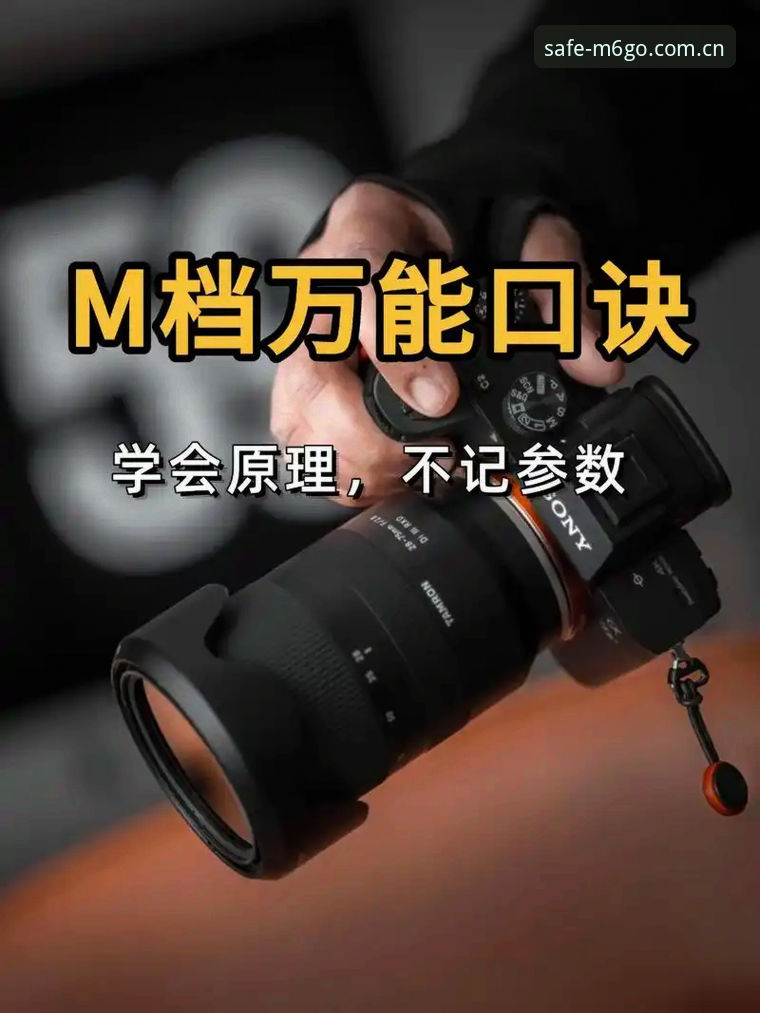 M6官网入口 快速掌握M6官网入口的实用技巧,安全直达不再烦恼